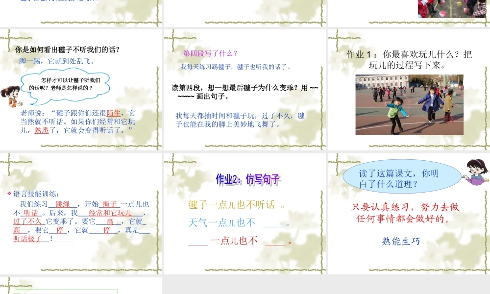 毽子变乖了公开课