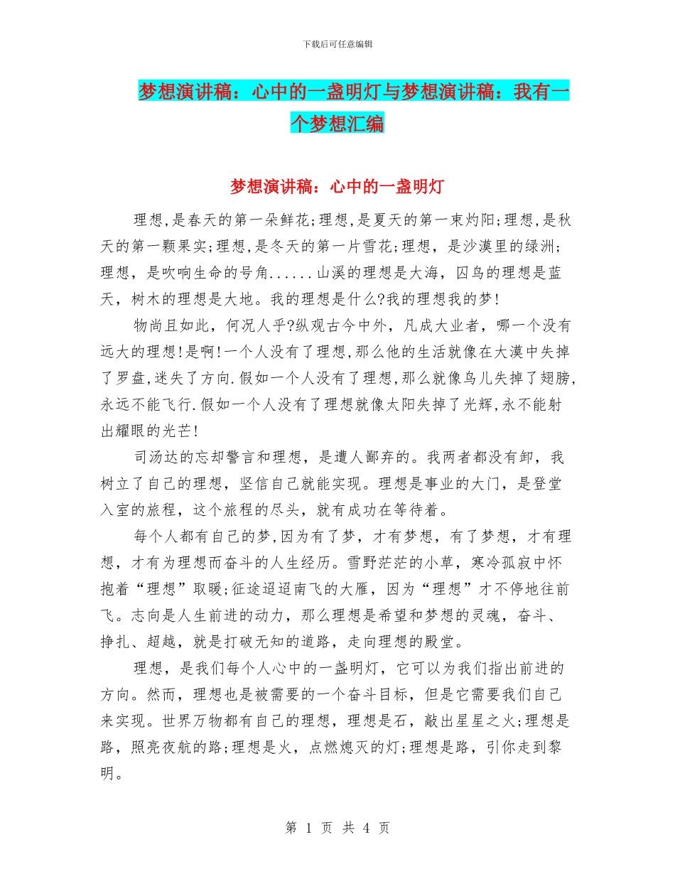 梦想演讲稿：心中的一盏明灯与梦想演讲稿：我有一个梦想汇编_第1页