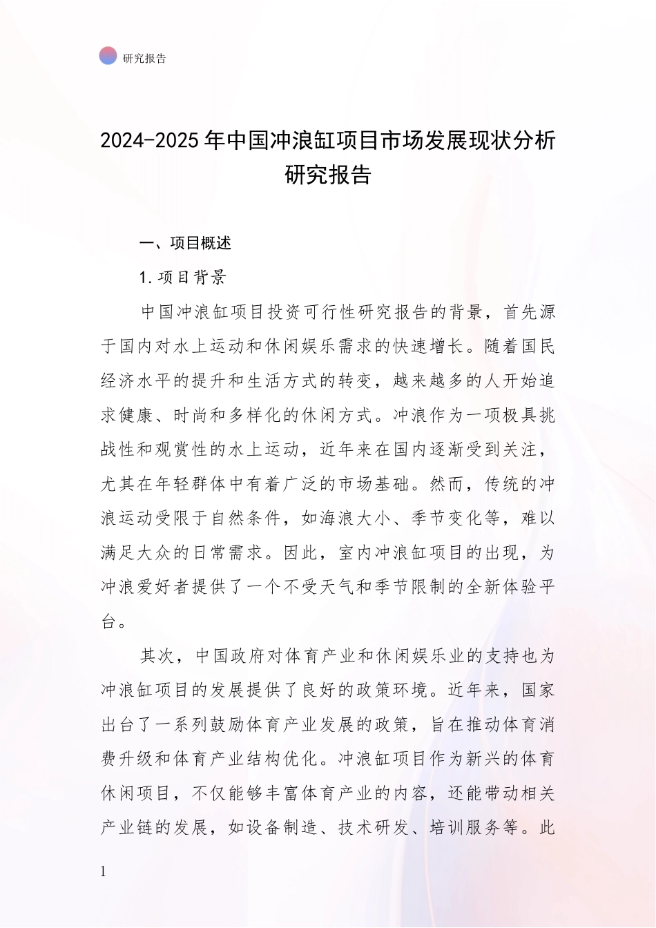 2024-2025年中国冲浪缸项目市场发展现状分析研究报告_第1页