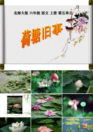北师大版六年级语文上册《荷塘旧事》优质课PPT课件