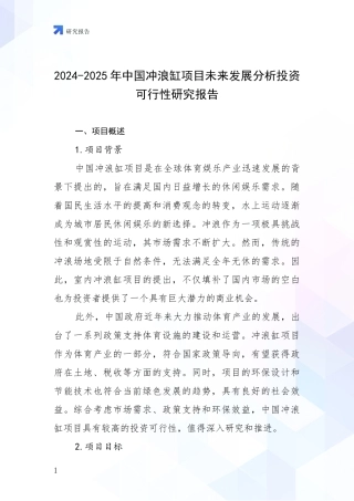 2024-2025年中国冲浪缸项目未来发展分析投资可行性研究报告