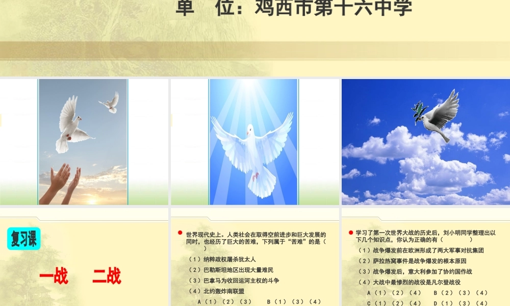 《世界大战》课件