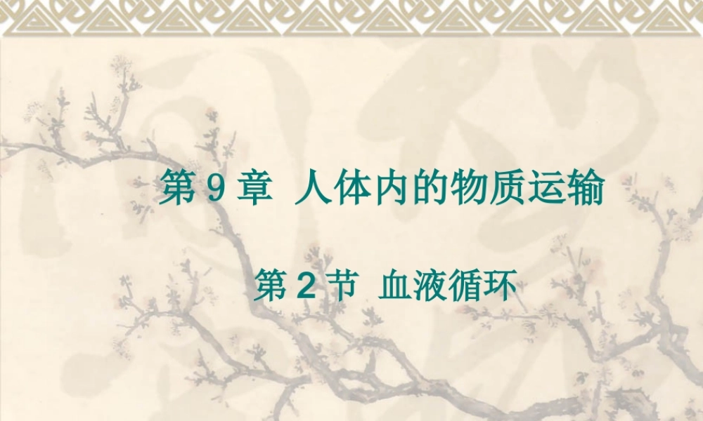 《血液循环》课件4