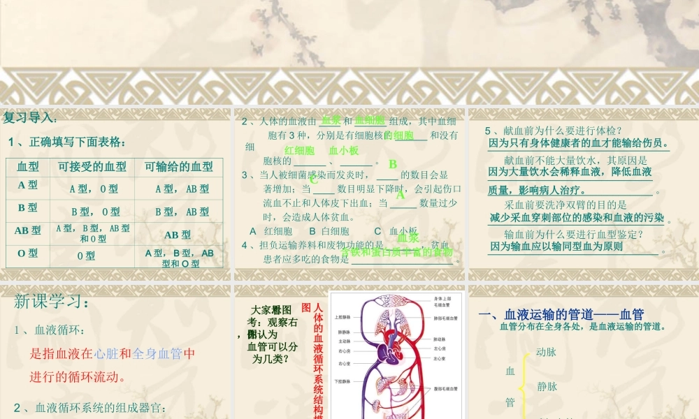 《血液循环》课件4
