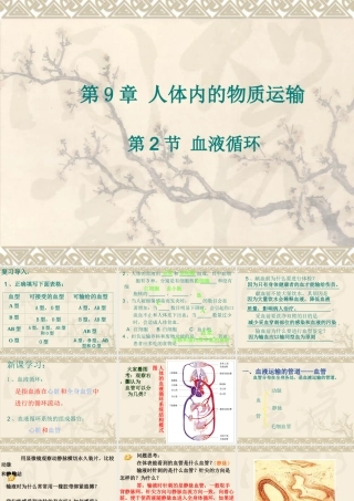 《血液循环》课件4