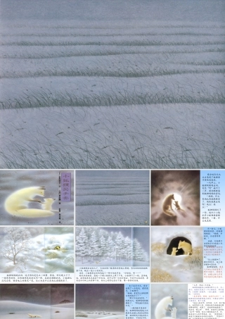 小狐狸买手套定稿