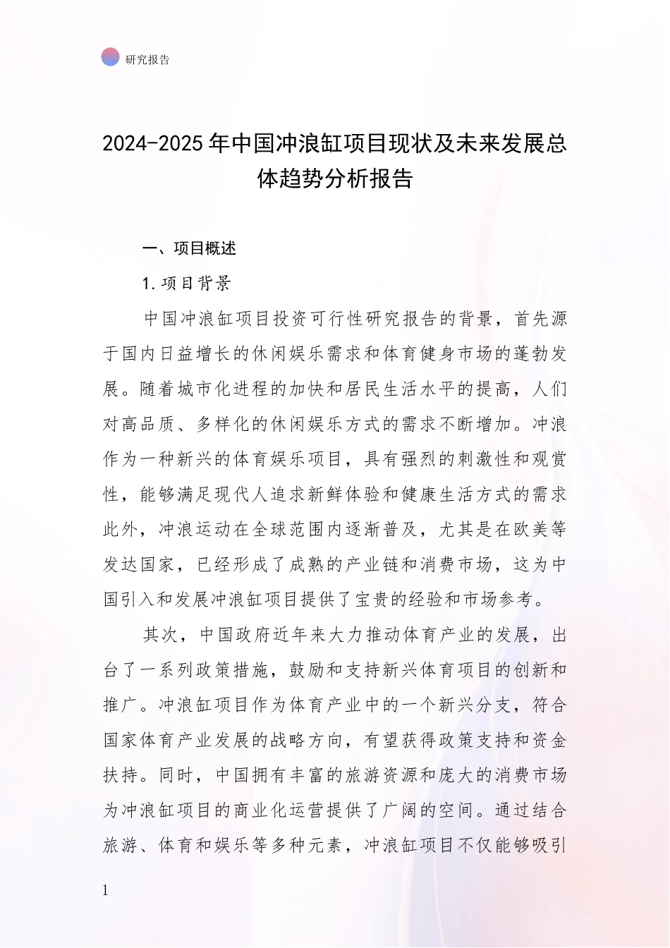 2024-2025年中国冲浪缸项目现状及未来发展总体趋势分析报告_第1页