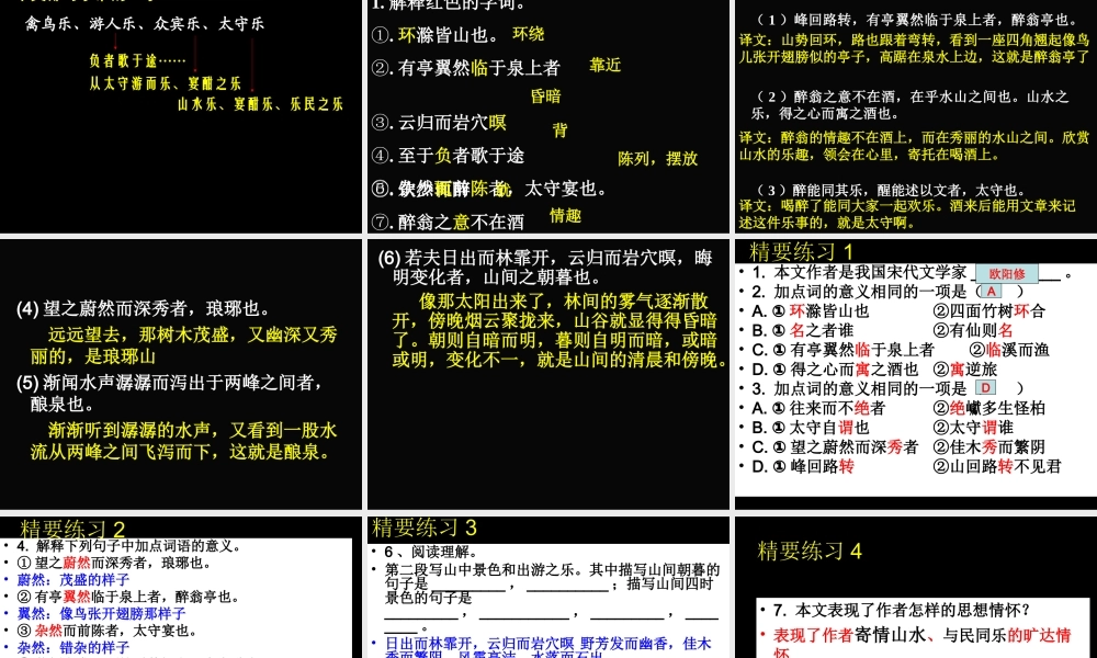 中考《醉翁亭记》复习课件