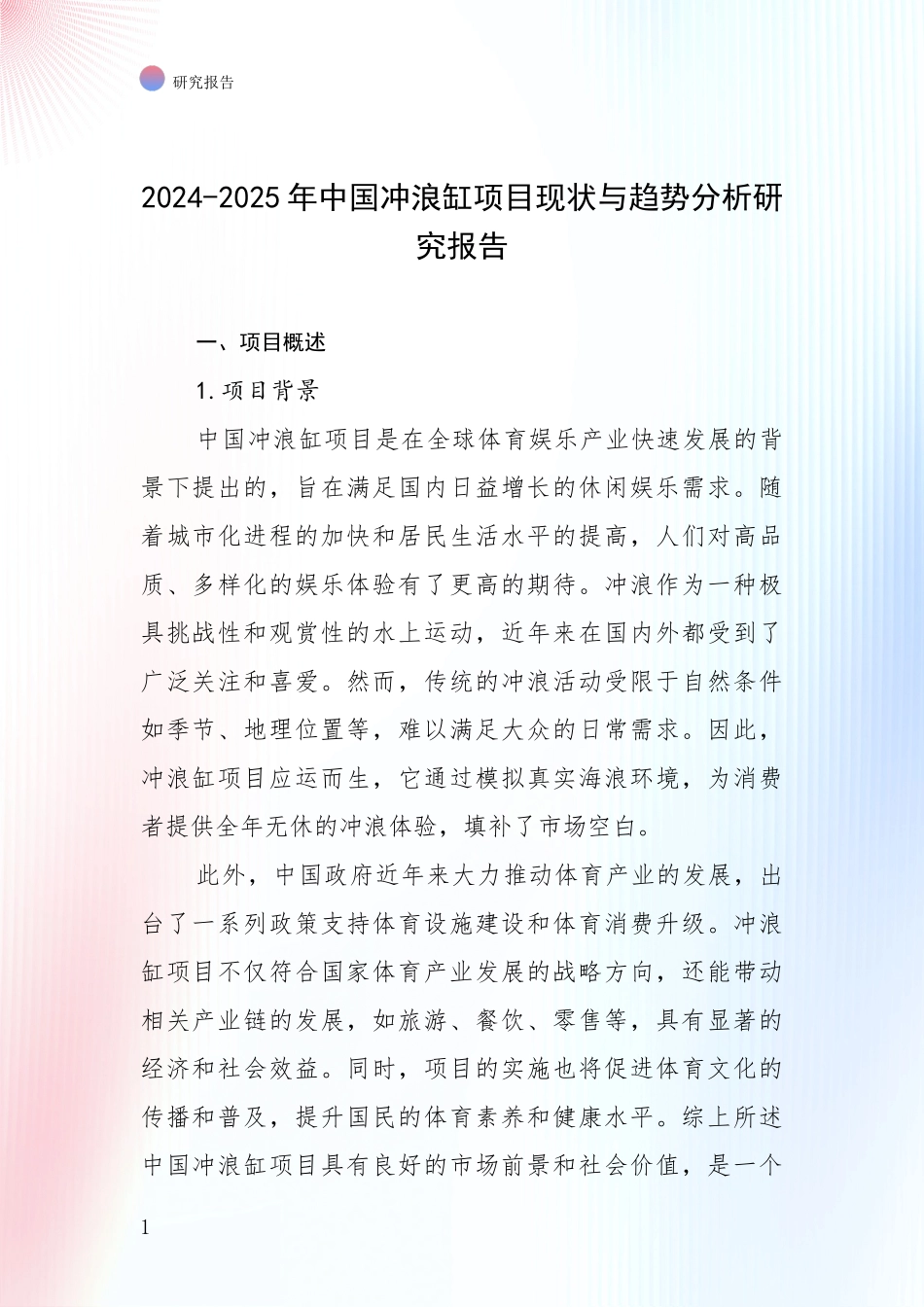 2024-2025年中国冲浪缸项目现状与趋势分析研究报告_第1页