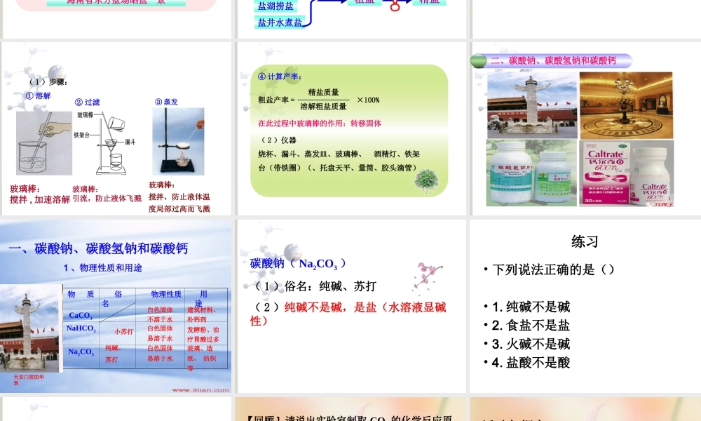 课题1生活中常见的盐(好)