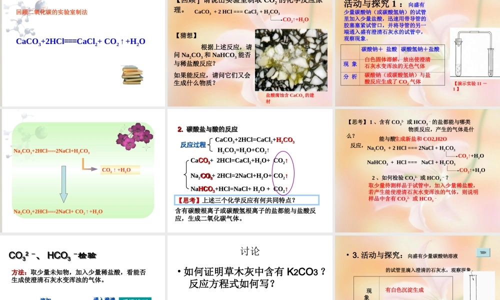 课题1生活中常见的盐(好)