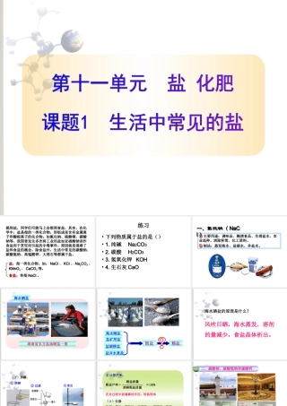 课题1生活中常见的盐(好)
