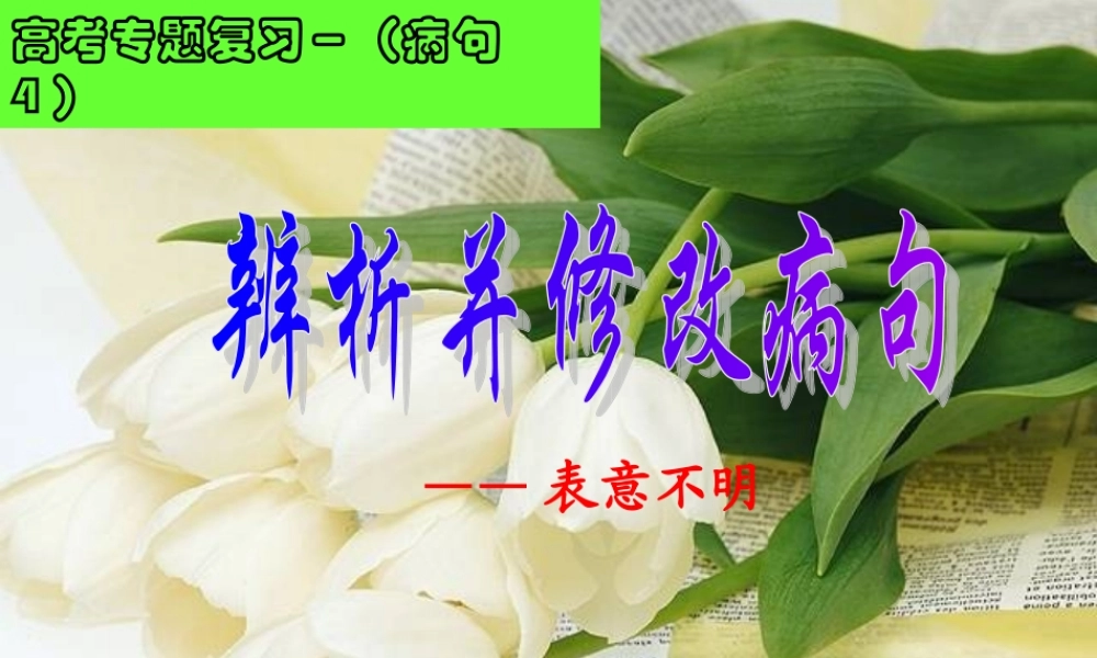 辨析并修改病句之表意不明
