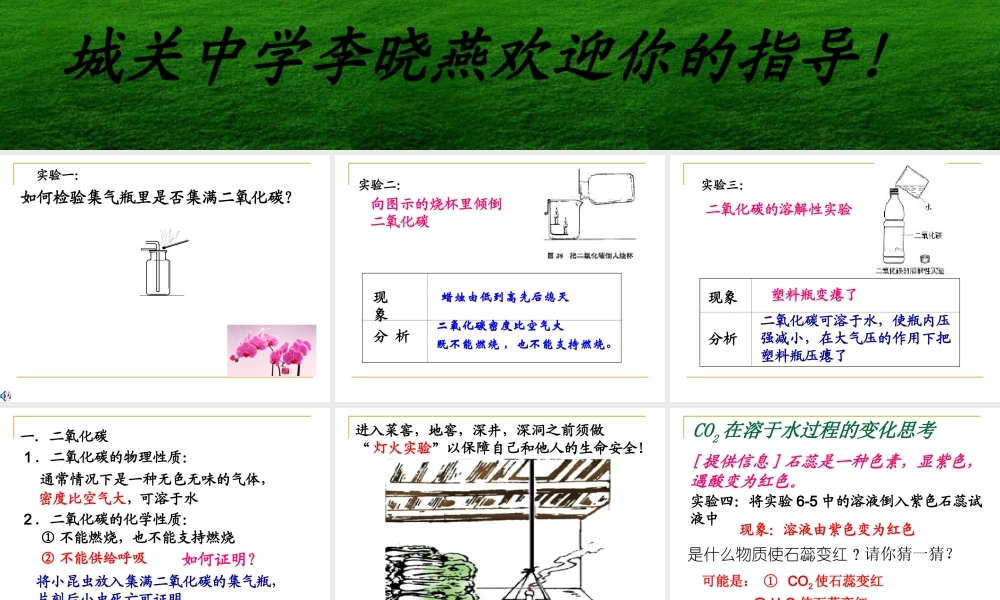 二氧化碳和一氧化碳1