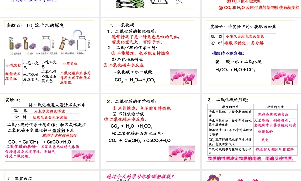 二氧化碳和一氧化碳1