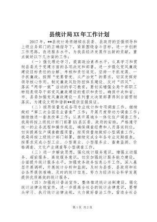 县统计局XX年工作计划 