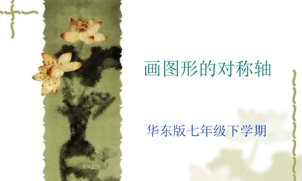 画图形的对称轴