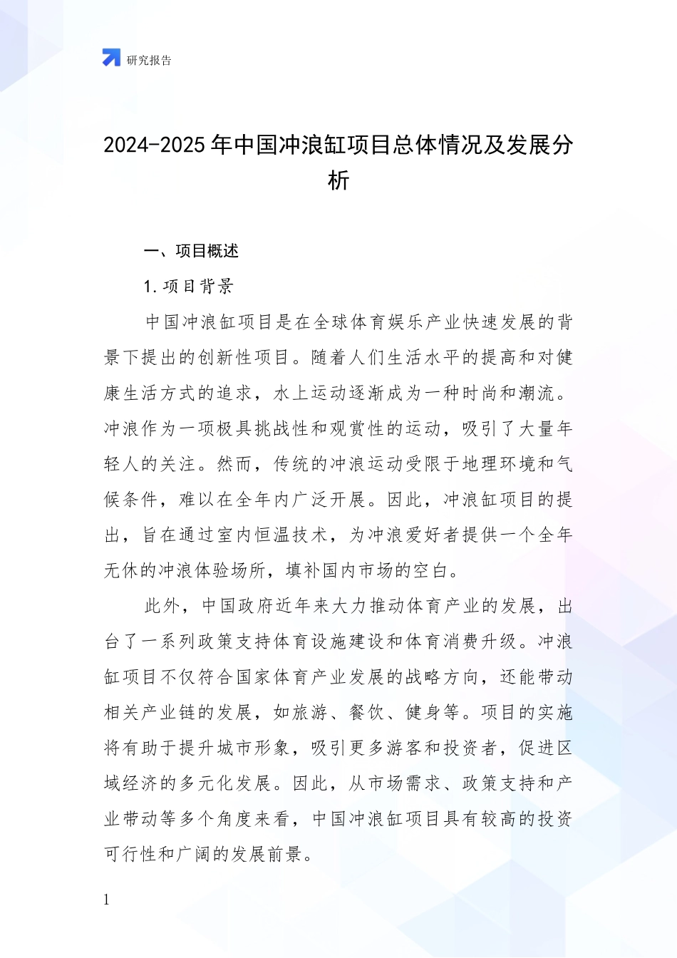 2024-2025年中国冲浪缸项目总体情况及发展分析_第1页