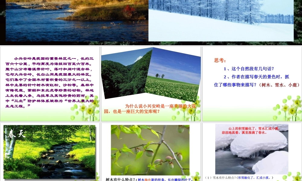 《美丽的小兴安岭》教学课件1