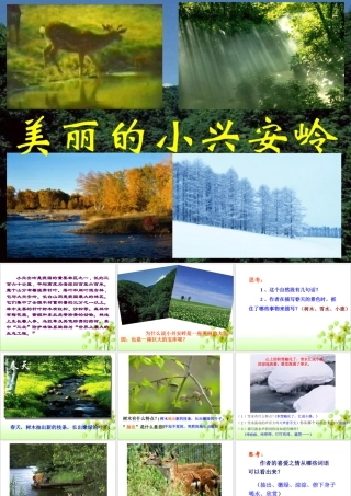 《美丽的小兴安岭》教学课件1