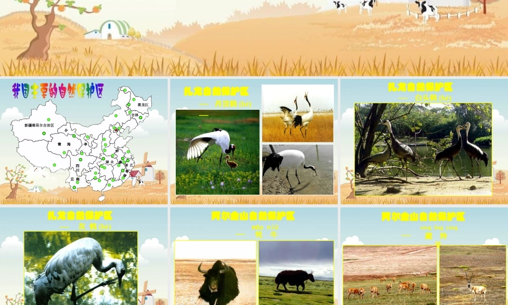 人教新课标品德与生活二年级下册我和动物交朋友课件PPT版