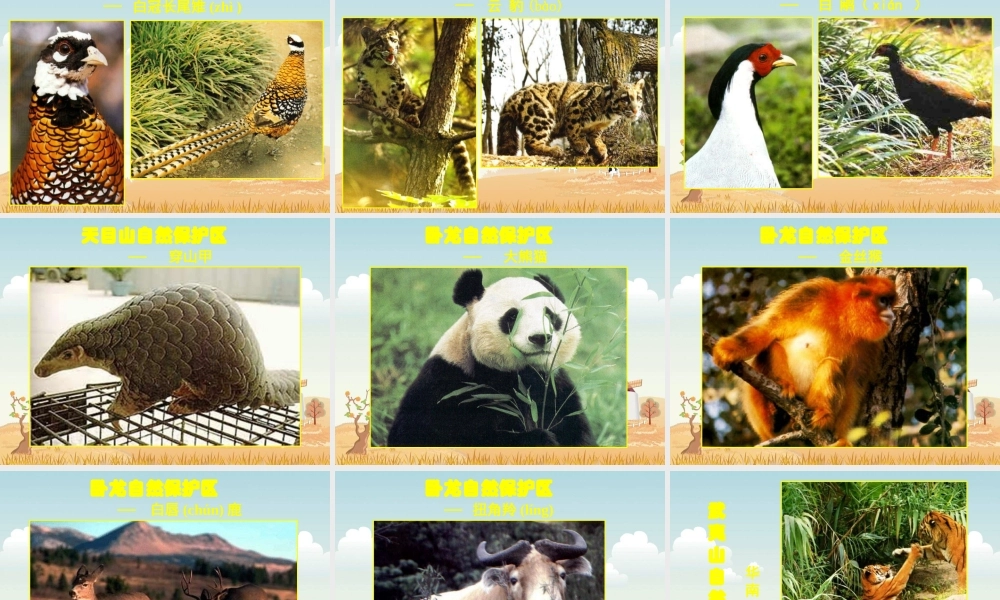 人教新课标品德与生活二年级下册我和动物交朋友课件PPT版