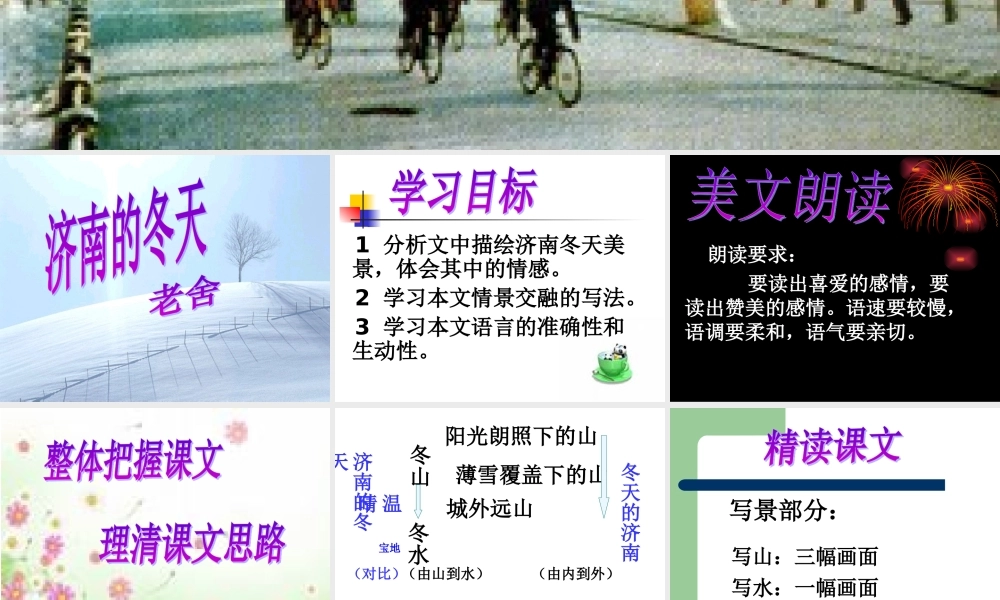 济南的冬天3 (2)