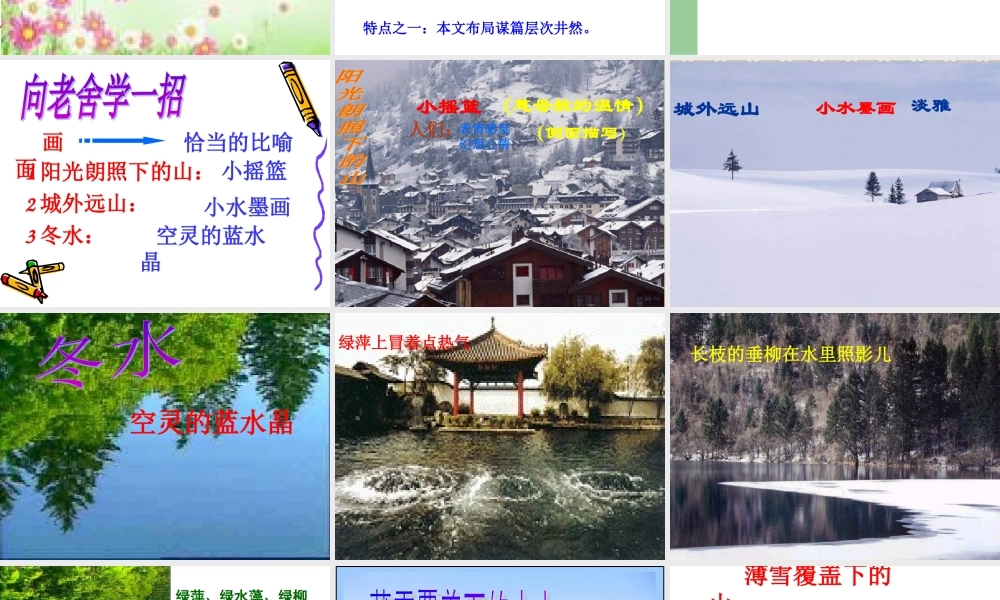 济南的冬天3 (2)