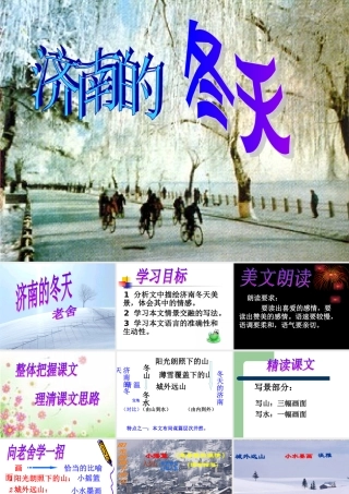 济南的冬天3 (2)