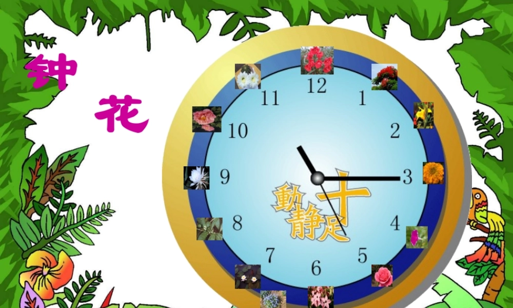 花钟 (2)