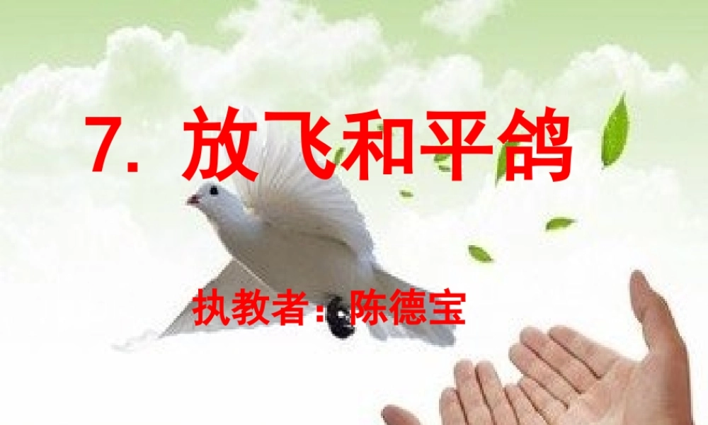 放飞和平鸽课件
