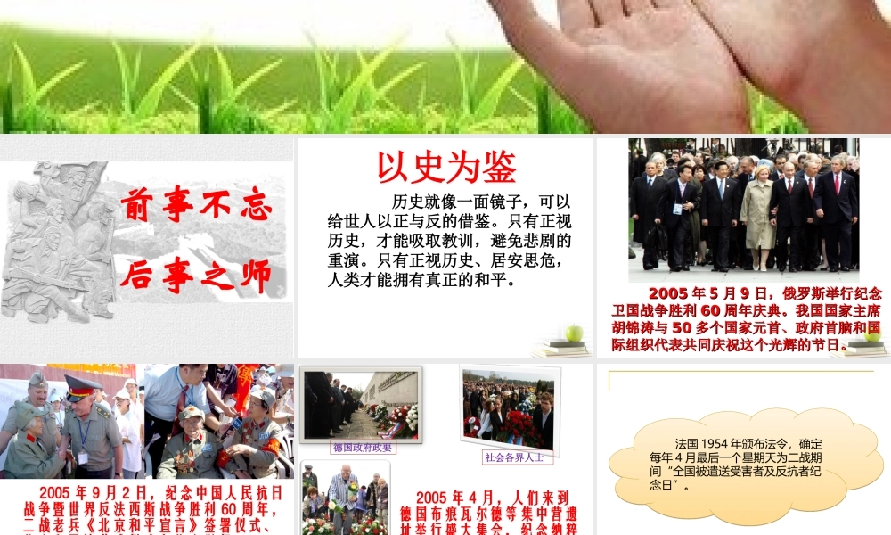 放飞和平鸽课件