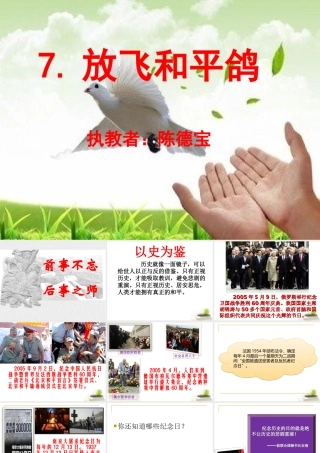 放飞和平鸽课件