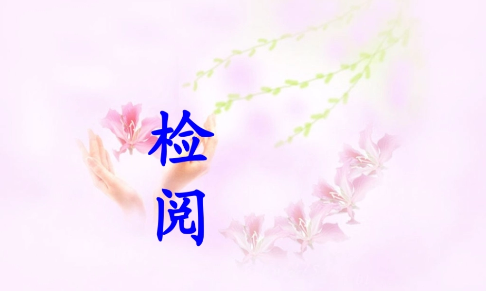 《检阅》教学课件1