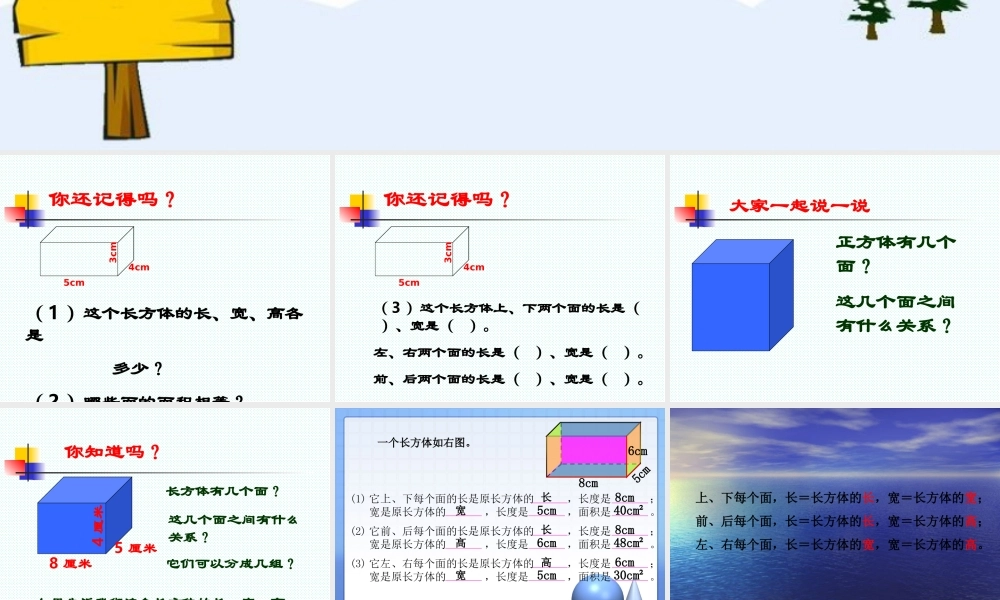 长方体和正方体的表面积课件 (2)