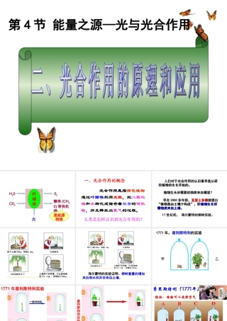 能量之源光与光合作用课件