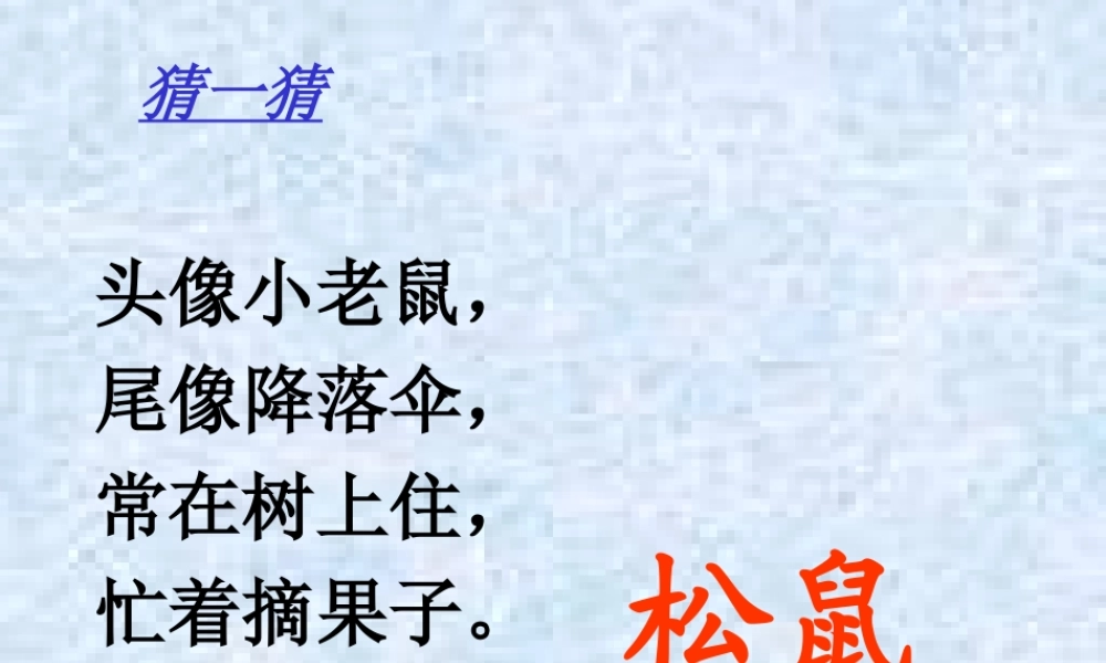 松鼠和松果课件