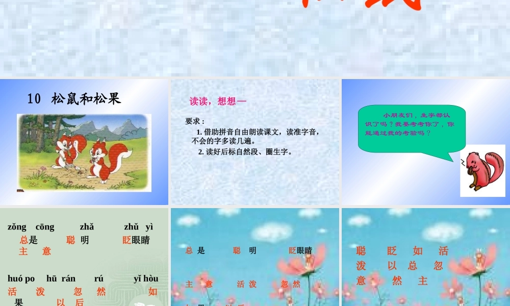 松鼠和松果课件
