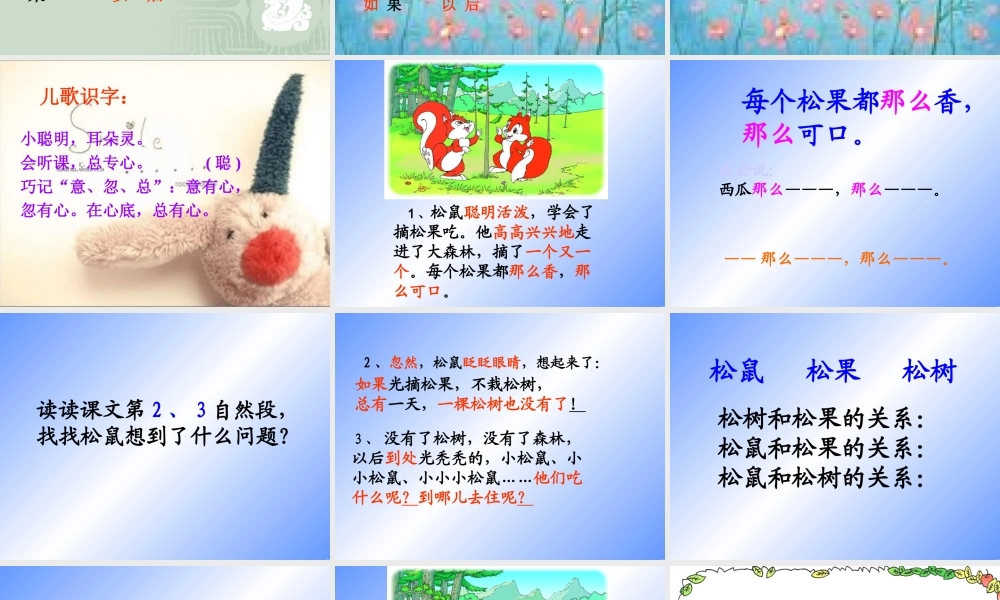 松鼠和松果课件