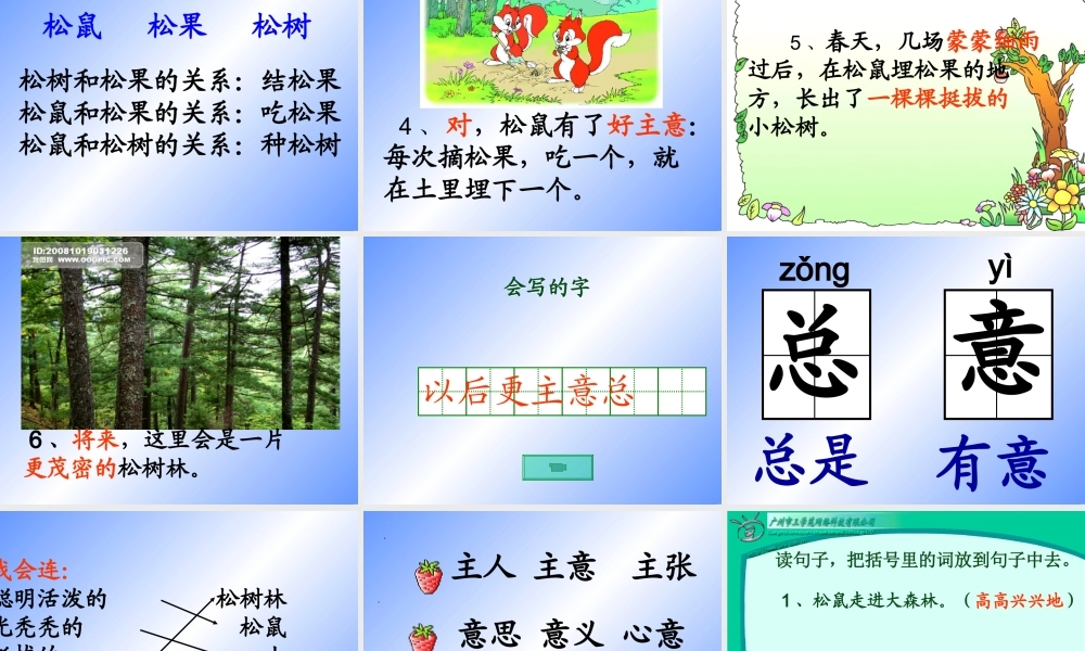 松鼠和松果课件