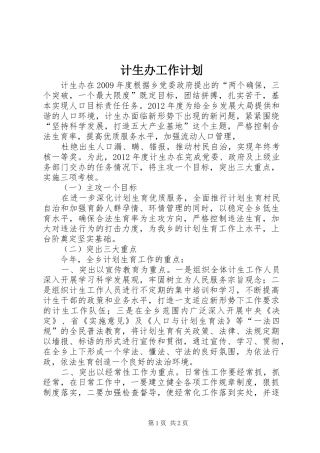 计生办工作计划 