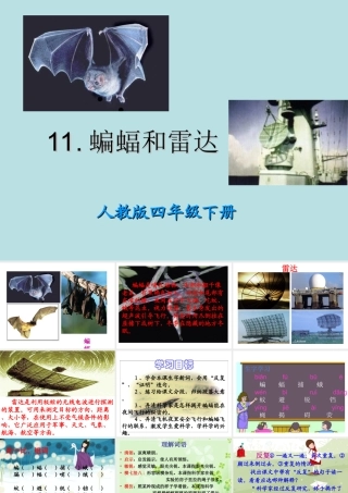 四语下11课1-2课时蝙蝠和雷达PPT
