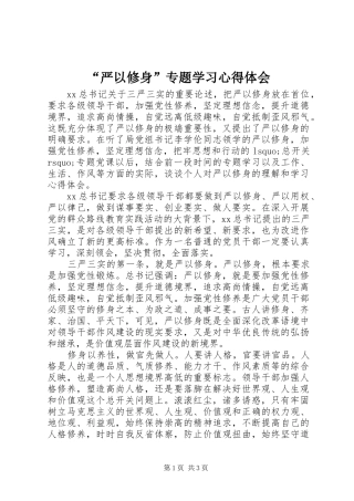 “严以修身”专题学习心得体会