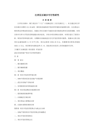 武汉市房地产项目可行性研究报告