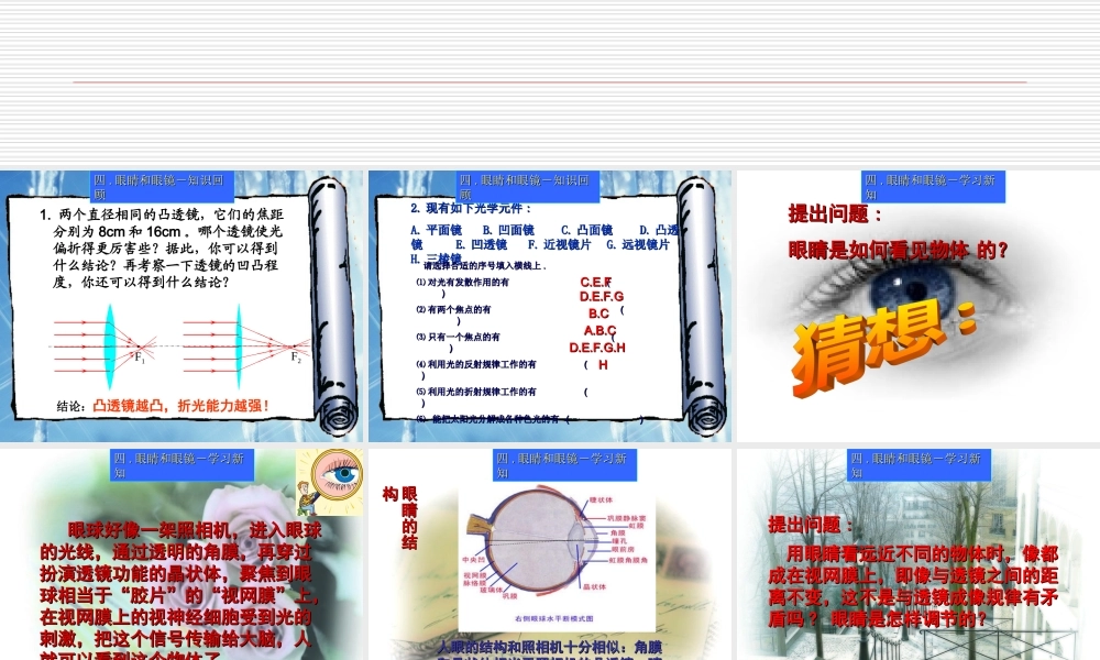 眼睛和眼镜课件 (2)
