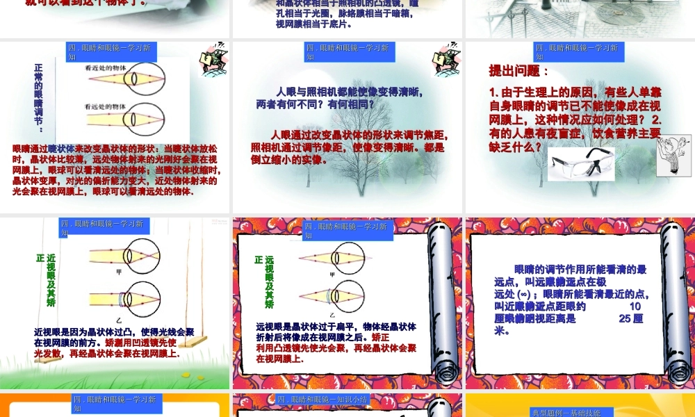 眼睛和眼镜课件 (2)
