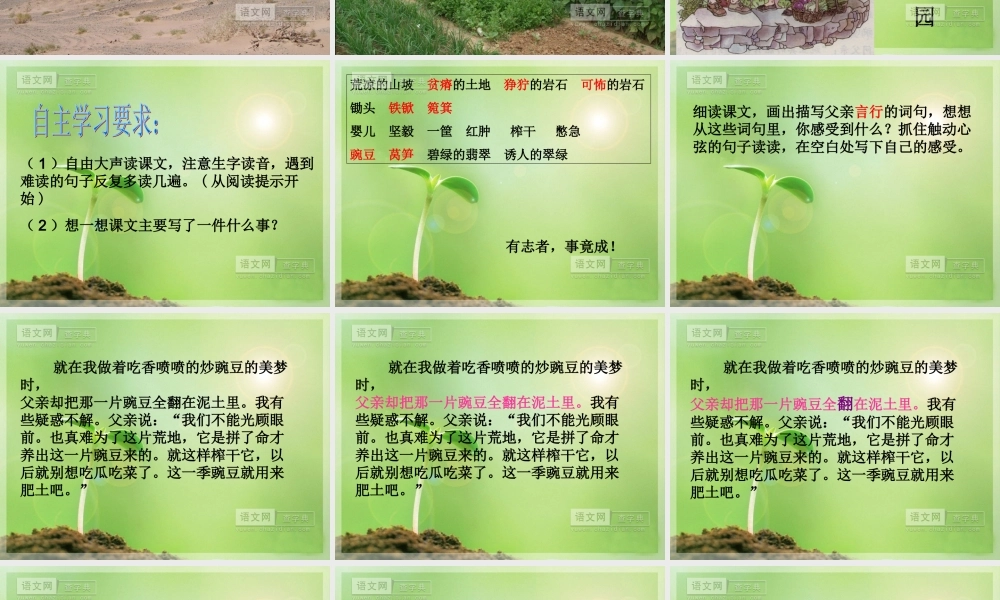 小学语文父亲的菜园课件