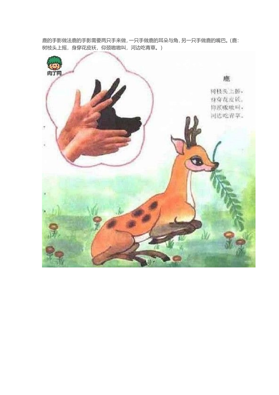 小手变变变 (2)_第3页