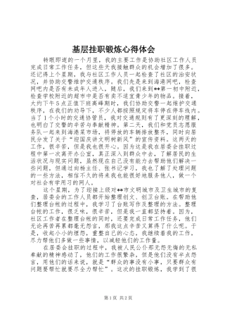 基层挂职锻炼心得体会