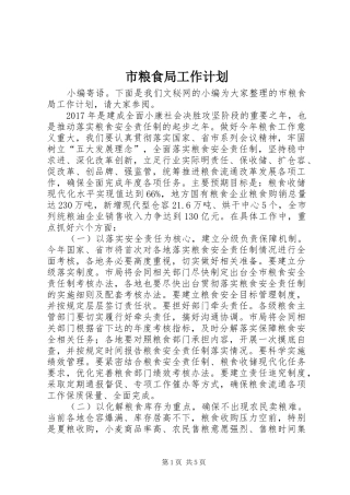 市粮食局工作计划 